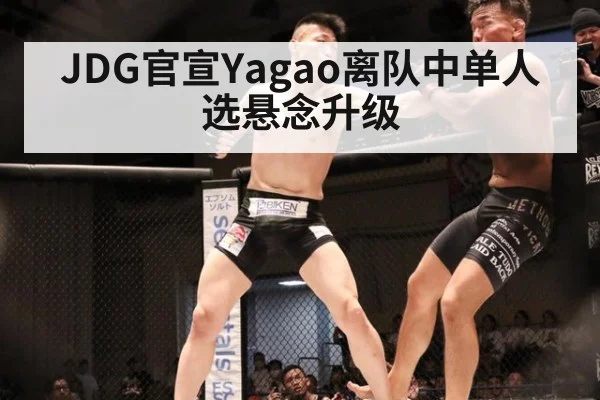 JDG官宣Yagao离队中单人选悬念升级